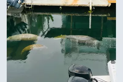 19 Avenue D, Key Largo, FL 33037 - Photo 39