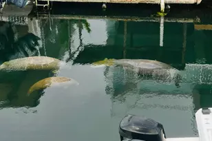 19 Avenue D, Key Largo, FL 33037 - Photo 39