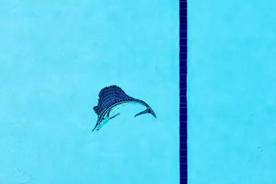 88500 Overseas Highway #429, Tavernier, FL 33070 - Photo 41