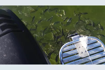 1530 Ocean Bay Drive #411, Key Largo, FL 33037 - Photo 29