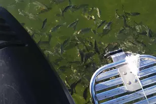 1530 Ocean Bay Dr, Key Largo, FL 33037 - Photo 29