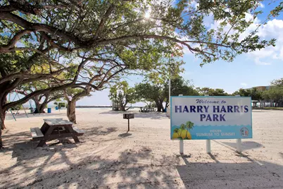 190 Dove Creek Drive, Tavernier, FL 33070 - Photo 3