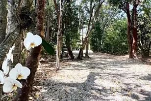 96000 Overseas Hwy, Key Largo, FL 33037 - Photo 19