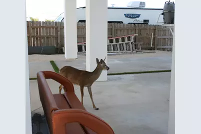 1553 Sunrise Drive, Big Pine, FL 33043 - Photo 95