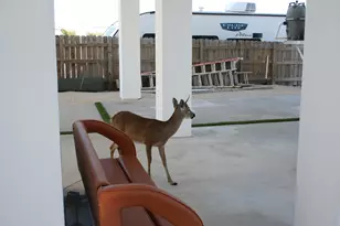 1553 Sunrise Dr, Big Pine, FL 33043 - Photo 95