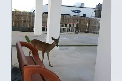 1553 Sunrise Drive, Big Pine, FL 33043 - Photo 101