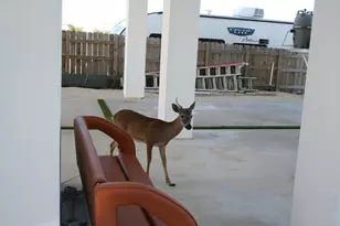 1553 Sunrise Dr, Big Pine, FL 33043 - Photo 101