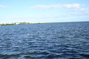 1553 Sunrise Dr, Big Pine, FL 33043 - Photo 91