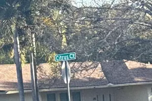 70 Citrus Ct, Palm Harbor, FL 34683 - Photo 3