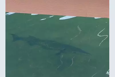 406 S Coconut Palm Boulevard, Tavernier, FL 33070 - Photo 99