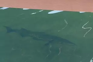 406 S Coconut Palm Blvd, Tavernier, FL 33070 - Photo 99