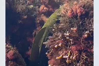 406 S Coconut Palm Boulevard, Tavernier, FL 33070 - Photo 97