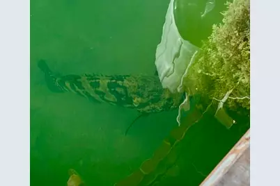 406 S Coconut Palm Boulevard, Tavernier, FL 33070 - Photo 95