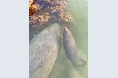 406 S Coconut Palm Boulevard, Tavernier, FL 33070 - Photo 97