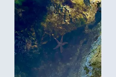 406 S Coconut Palm Boulevard, Tavernier, FL 33070 - Photo 101