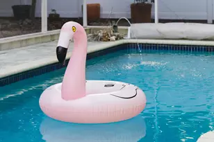 155 Fontaine Dr, Tavernier, FL 33070 - Photo 9