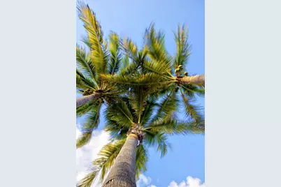 11295 6th Avenue Gulf, Marathon, FL 33050 - Photo 5