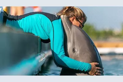 210 Schooner Lane, Duck Key, FL 33050 - Photo 31