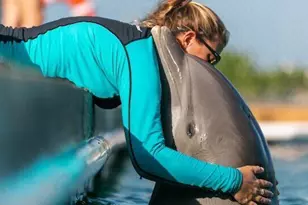 210 Schooner Ln, Duck, FL 33050 - Photo 31