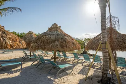 500 Burton Drive #2409, Tavernier, FL 33070 - Photo 55