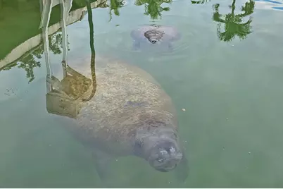 113 San Juan Drive, Islamorada, FL 33036 - Photo 45