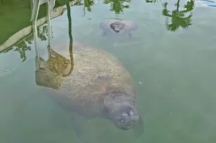 113 San Juan Dr #& Boat Slip, Islamorada, FL 33036 - Photo 45