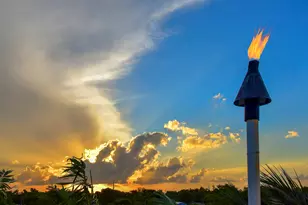 141 Canal St, Tavernier, FL 33070 - Photo 45