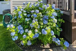 57 Union St, Hawthorne, NJ 07506 - Photo 29