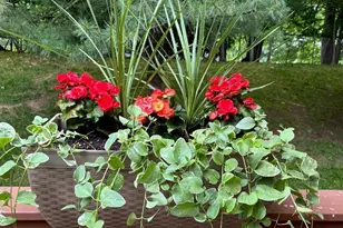 15 Drake Dr G2, Hillsdale, NJ 07642 - Photo 33