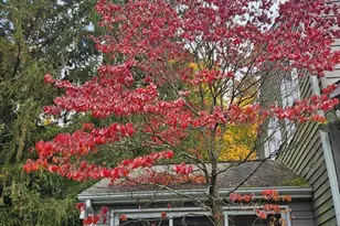 21 Ridge Rd, Norwood, NJ 07648 - Photo 45