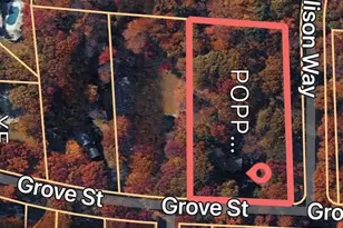 157 Grove St, Ramsey, NJ 07446 - Photo 45