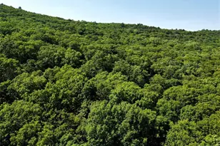 83 Terra Cotta Rd, West Milford, NJ 07421 - Photo 23