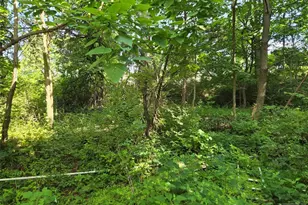 2 Hewlett Rd, Montville Township, NJ 07082 - Photo 5