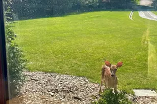 64 Stony Ridge Rd, Saddle River, NJ 07458 - Photo 27