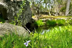 17 Hillside Ave, Upper Saddle River, NJ 07458 - Photo 5