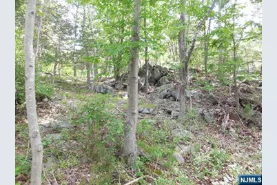 45 Buena Vista Way, Bloomingdale, NJ 07403 - Photo 7