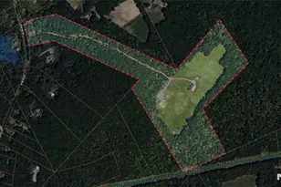 464 Mt Bethel Rd, Mansfield Township, NJ 07865 - Photo 31