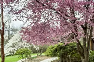 33 Woodfield Ln, Saddle River, NJ 07458 - Photo 33