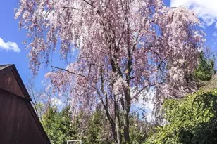 33 Woodfield Ln, Saddle River, NJ 07458 - Photo 31