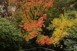 510 Priscilla Ln, Englewood, NJ 07631 - Photo 35