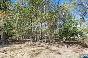 314 Meadowbrook Rd, Wyckoff Township, NJ 07481 - Photo 47