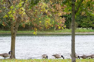 56 Fox Run Dr 56, Englewood, NJ 07631 - Photo 31