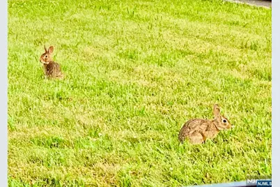 57 Hamilton Avenue, Elmwood Park, NJ 07407 - Photo 7