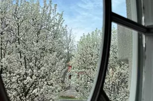 108 Winding Creek, Old Tappan, NJ 07675 - Photo 13