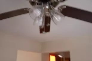 6 Jan Ct, Elmwood Park, NJ 07407 - Photo 19