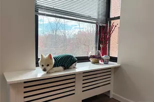 2329 Hudson Terrace C3, Fort Lee, NJ 07024 - Photo 21