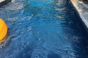 43 Palisade Ave, Westwood, NJ 07675 - Photo 25