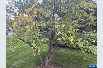 300 Harristown Road 1st Floor #1st floor, Glen Rock, NJ 07452 - Photo 15