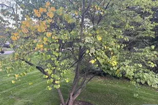 300 Harristown Road 1st Floor, Glen Rock, NJ 07452 - Photo 15