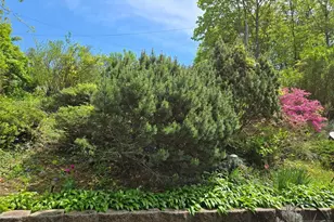 102 Kossuth Street 1, Wallington, NJ 07057 - Photo 19